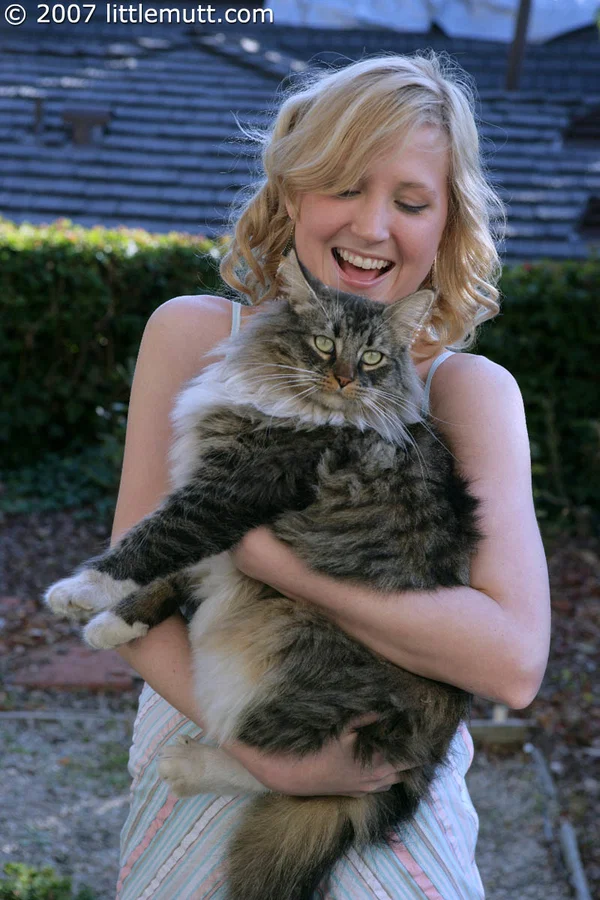 Blonde teen Kimber Clarkson hangs onto her cat before showing her tight slit  - Pissing, Upskirt, Shaved, Amateur, Tiny Tits, Pussy, Natural Tits, Skirt, Clothed, Outdoor  - Photo 5