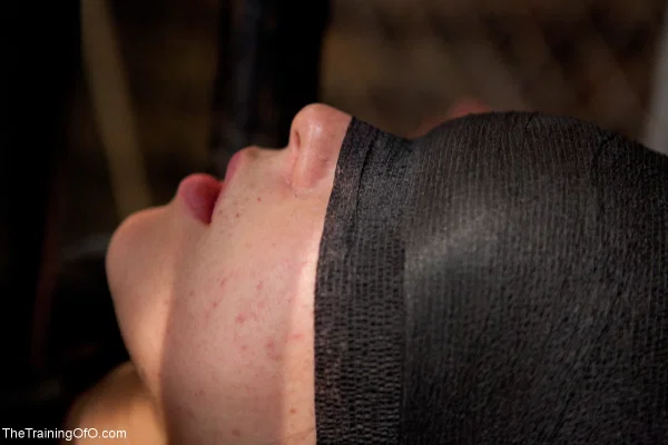 The Training Of O performed by Derrick Pierce, Juliette March Nude Pictures  - Groupsex, Pussy, Close Up, Shaved, BDSM, Bondage, Natural Tits, Tiny Tits, Feet, Brunette  - Photo 16