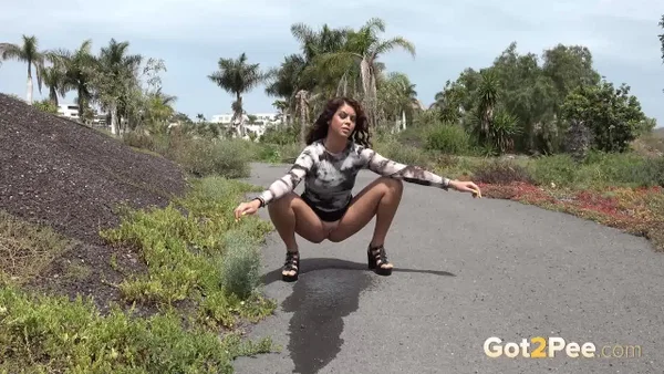 Hot girl Sexy Lexy squats for a piss on a paved road during the day  - Pissing, Public, Upskirt, Spreading, Outdoor, Pussy, Shaved, Skirt, Ass, PAWG  - Photo 8
