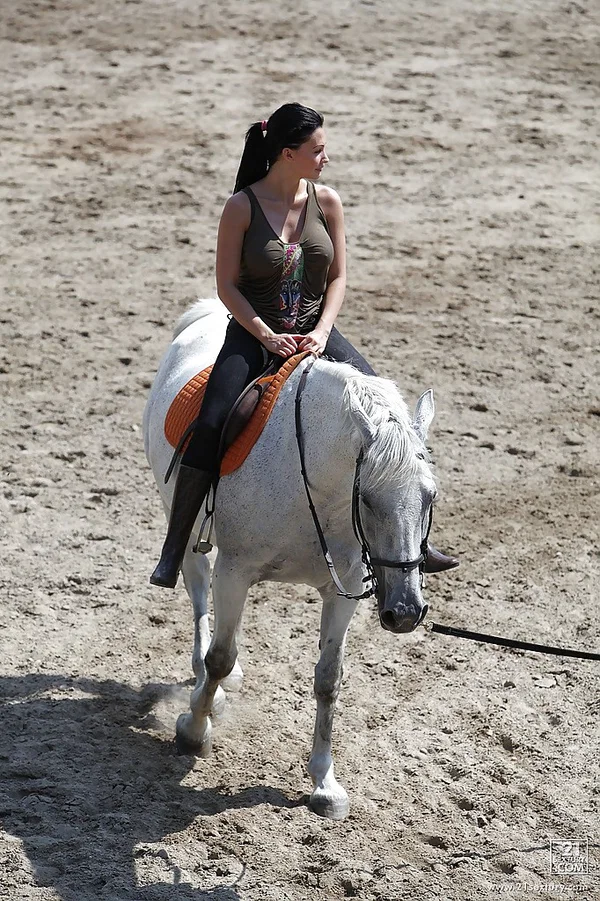 Pornstar Aletta Ocean is riding a horse outdoor in glasses  - Outdoor, Pornstar, Glasses  - Photo 14