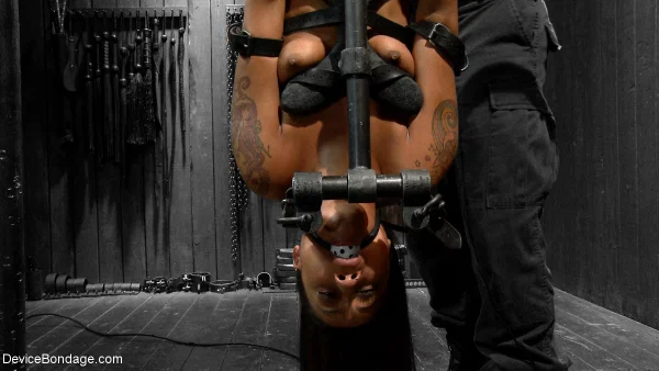 Horny ebony babe Skin Diamond gets restrained & toyed in metal bondage action  - Bondage, Dildo, BDSM, Pussy, Spreading  - Photo 13