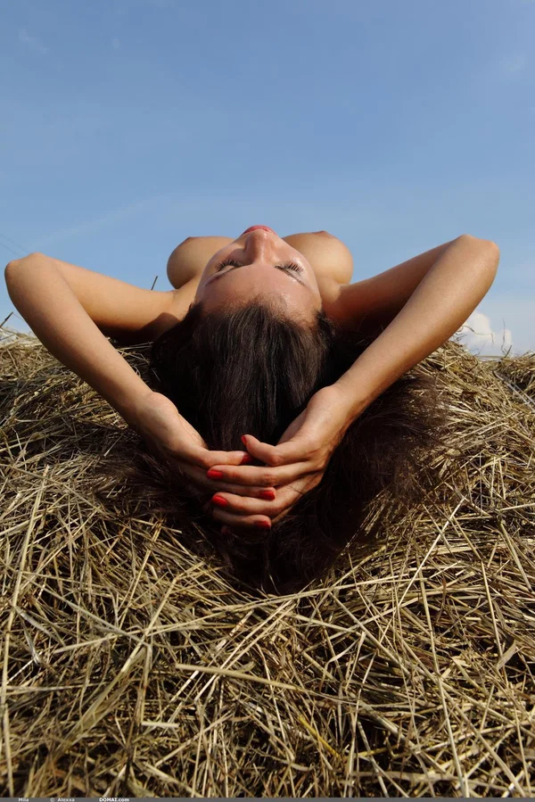 Solo girl with a nice figure displays her big tits while totally nude atop hay  - Outdoor, Model, Big Tits, Teen, Glamour, Spreading, Ass, Legs, Skinny, Babe  - Photo 14