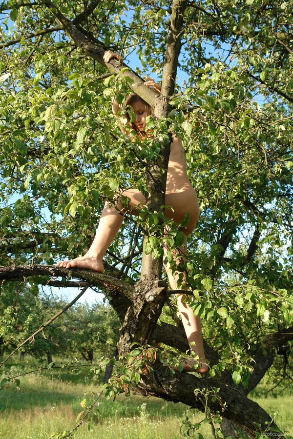 Young looking girl climbs a tree while totally naked in the woods  - Outdoor, Teen, Glamour, Ass, Tiny Tits, Spreading, Shaved, Babe, Feet, Model  - Photo 9