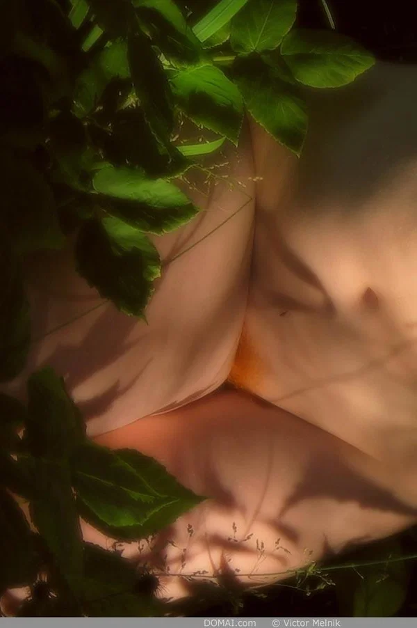 Amateur ginger teen with a big ass posing in beautiful nature butt naked  - Redhead, Outdoor, Teen, Tiny Tits, Nipples, Cute, Short Hair, Glamour, Ass, Model  - Photo 11