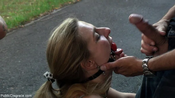 Big titted blonde has her asshole penetrated while restrained in public  - Public, MILF, Groupsex, Bondage, Dildo, BDSM, Outdoor, Blonde, Big Tits, Ass  - Photo 9