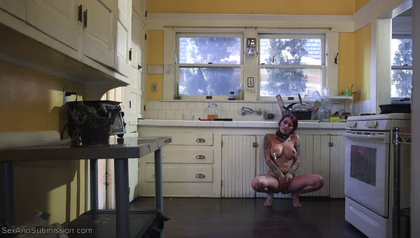 Tattooed redhead Tana Lea is penetrated after being subdued in a kitchen  - Housewife, BDSM, Bondage, Redhead, Pussy, Cumshot, Ass, Big Tits, Tattoo, Creampie  - Photo 6