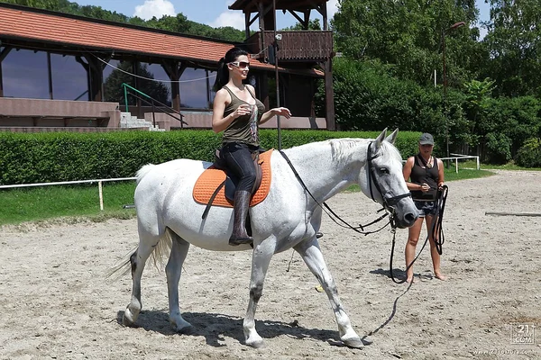 Pornstar Aletta Ocean is riding a horse outdoor in glasses  - Outdoor, Pornstar, Glasses  - Photo 1