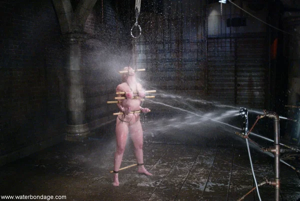 Water Bondage starring Dee Williams Hot Porn  - BDSM, Fetish, Wet, MILF, Big Tits, Bondage, Amateur, Redhead, Sexy, Face  - Photo 21