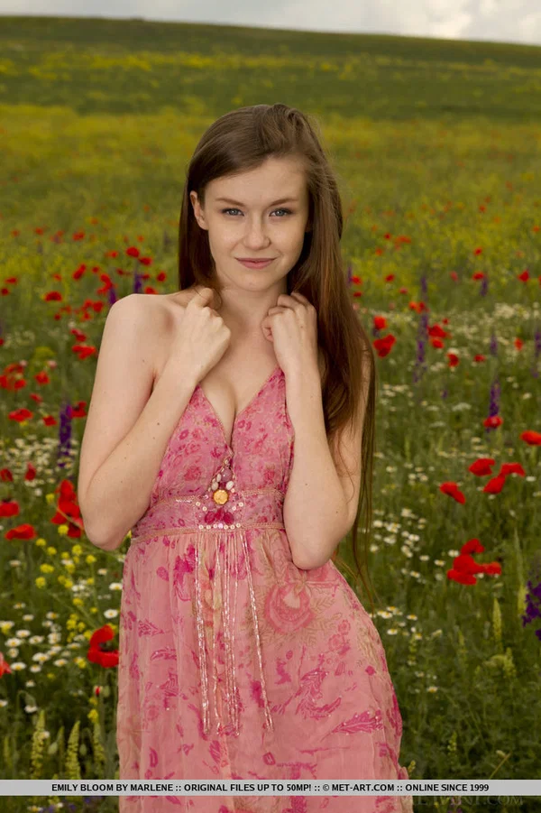 Long haired teen Emily Bloom slips off a dress to model naked in a field  - Teen, Outdoor, Babe, Brunette, Shaved, Pussy, Glamour, Ass, Big Tits, Natural Tits  - Photo 11