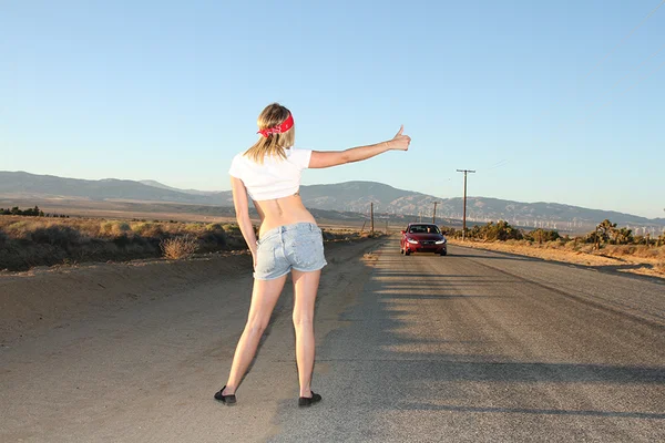 Teenage hitchhiker Lia Lor is up to pay for a lift with her sweet pussy  - Teen, Outdoor, Big Tits, Shorts, Reality, Ass, Clothed, Natural Tits, Close Up, Hairy  - Photo 8