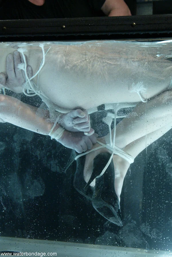 Brunette pornstar Bobbi Starr gets her hands tied up & gets tormented in water  - Bondage, Wet, Hairy, Fetish, BDSM, MILF, Sexy, Brunette, White  - Photo 15