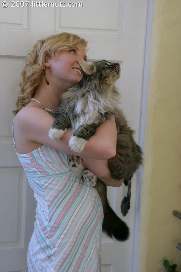 Blonde teen Kimber Clarkson hangs onto her cat before showing her tight slit  - Pissing, Upskirt, Shaved, Amateur, Tiny Tits, Pussy, Natural Tits, Skirt, Clothed, Outdoor  - Photo 6