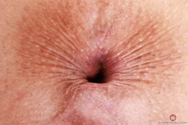 ATK Exotics starring Bella Blaze Naked Pictures  - Amateur, Anal, Spreading, Petite, Close Up, Panties, Asshole, Shaved, Ass, Big Clit  - Photo 21