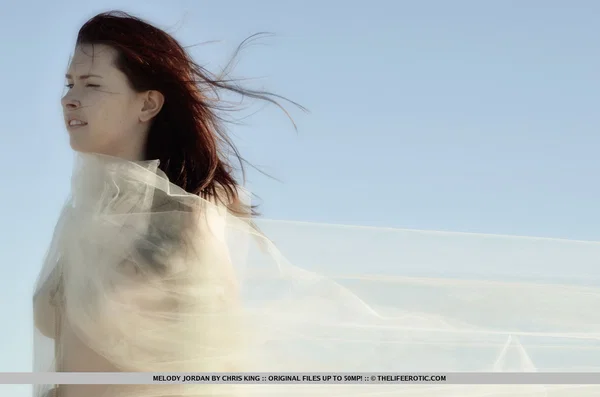 Redheaded girl Melody Jordan takes off her bra and panty set on a dry lake bed  - Beautiful, Redhead, Outdoor, Hairy, Pussy, Lingerie, Panties, Tiny Tits, Natural Tits, Solo  - Photo 16