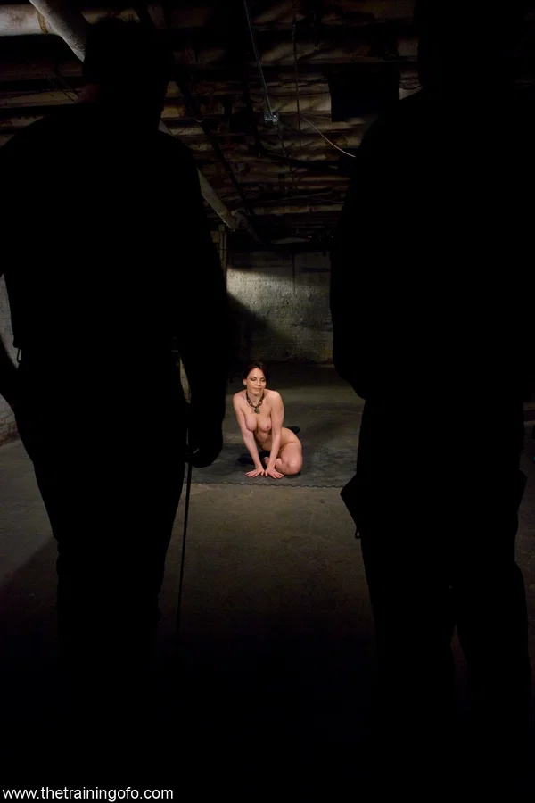 The Training Of O performed by Dana DeArmond, Danny Wylde Sex Pictures  - Bondage, BDSM, White  - Photo 2