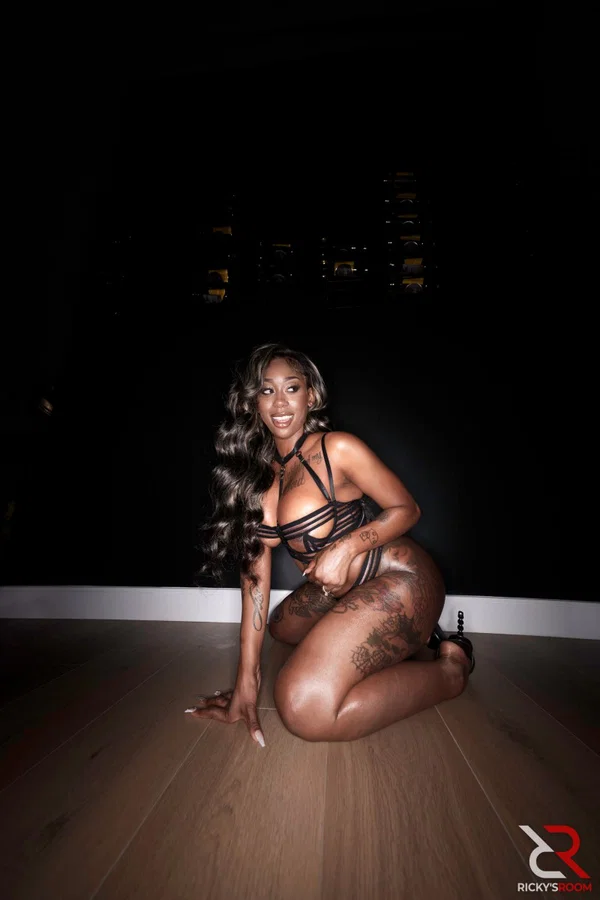 Hot black girl Baby Gemini rocks her booty while wearing sexy lingerie  - Ebony, Big Tits, Tattoo, Lingerie, Black, African, Beautiful, Babe, Non Nude, Solo  - Photo 8