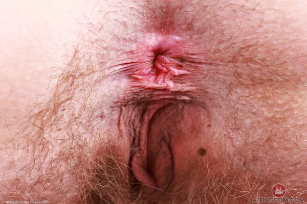 Cute brunette Sahara Skye parts her bush to show off her trimmed pussy  - Hairy, Amateur, Anal, Big Clit, Pussy, Close Up, PAWG, Ass, Spreading, Asshole  - Photo 21