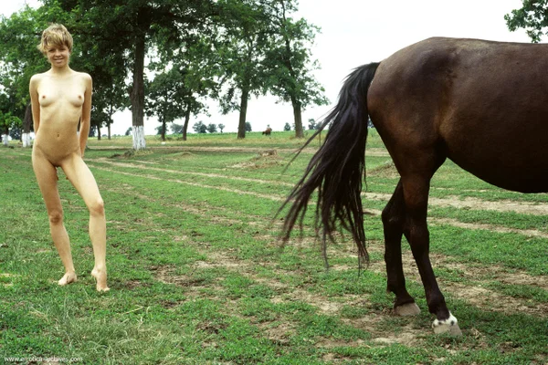 Long legged blonde teen poses naked in the field with a saddled horse  - Petite, Outdoor, Short Hair, Skinny, Shaved, Teen, Tiny Tits, Beautiful, Nipples, Ass  - Photo 14