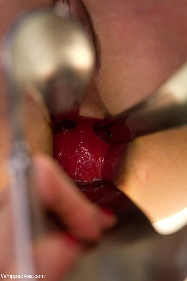 Lorelei Lee has her asshole penetrated by a strapon during lesbian sex  - Fetish, BDSM, Anal, Strapon, Bondage, Lesbian, Pussy, Close Up, Shaved, Dildo  - Photo 19