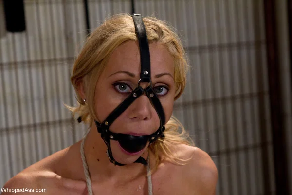Whipped Ass featuring Lorelei Lee, Samantha Sin Hot Photos  - Strapon, Anal, Bondage, BDSM, Big Tits, Natural Tits, Pussy, Lesbian, Blonde, Close Up  - Photo 7