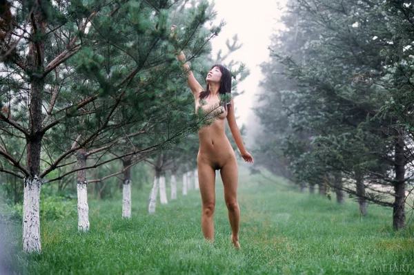 Glamorous Asian Wu Weiqui poses nude while taking an erotic outdoor stroll  - Chinese, Japanese, Asian, Teen, Cute, Tiny Tits, Glamour, Skinny, Sexy, Model  - Photo 18