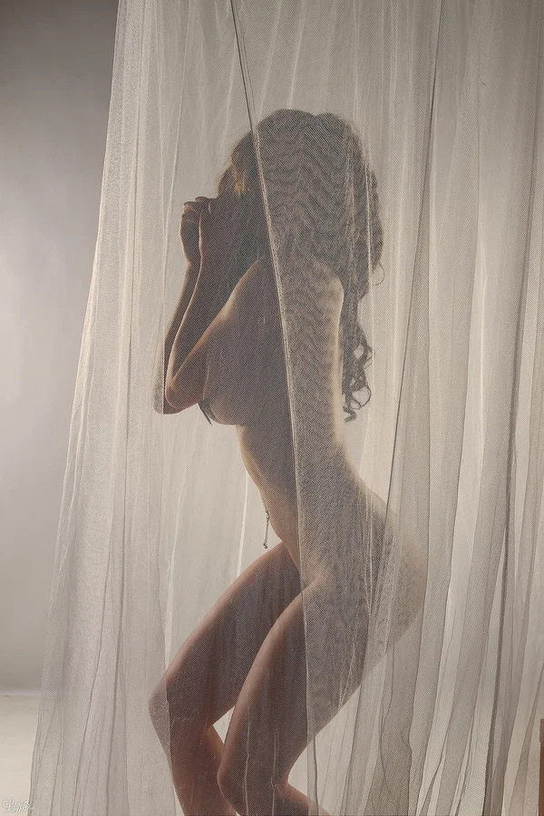 Amateur model Lily Xo poses naked behind sheer curtains in high heels  - Amateur, Beautiful, Big Tits, Natural Tits, Ass, PAWG, Solo, Tattoo, Babe  - Photo 4