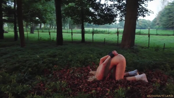Skinny and afraid Candee Licious tied up in woods gets punished  - Bondage, Teen, BDSM, Skinny, Outdoor, Blonde, Blowjob, Cute, Non Nude  - Photo 16