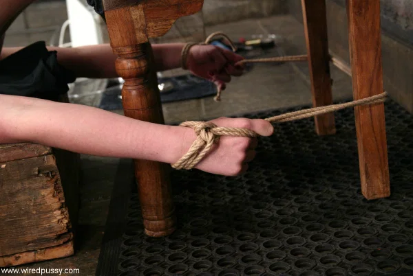 Restrained blonde Lorelei Lee is masturbated while being tortured  - Face, Police, BDSM, MILF, Bondage, Dildo, Lesbian, Tiny Tits, Blonde, Natural Tits  - Photo 2