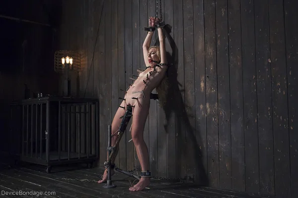 Petite blonde Emma Haize getting caned in stocks with panties around ankles  - Bondage, Blonde, BDSM, Legs, Feet, Tiny Tits, Shaved, Close Up, Dildo, Pussy  - Photo 11