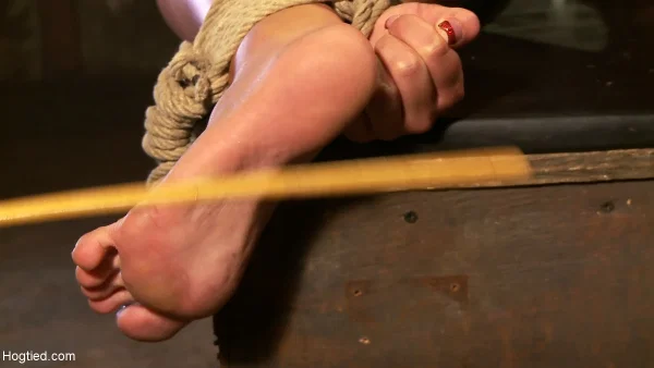 Submissive American Skylar Price gets her holes toyed painfully while bound  - Anal, Bondage, Ass, BDSM, Dildo, Feet, Close Up, Short Hair, Piercing, Asshole  - Photo 18