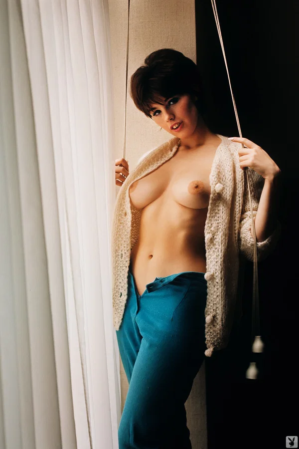 Vintage short haired model Dianne Chandler posing topless for Playboy magazine  - Short Hair, Solo, Centerfold, Brunette, Beautiful, Lingerie, Model, Pretty, Babe, Glamour  - Photo 3