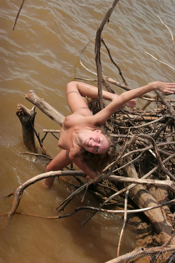 18-year-old blonde Janet poses in the nude on driftwood at the beach  - Teen, Outdoor, Model, Tiny Tits, Babe, Beautiful, Ass, PAWG, Legs, Nipples  - Photo 11