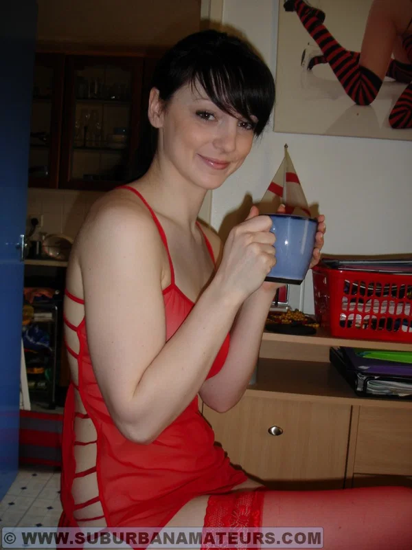 Sexy brunette teen Aideen undresses and poses in lingerie for the camera  - Amateur, Stockings, Lingerie, Ass, Beautiful, Brunette, Legs, Clothed, Tiny Tits, Non Nude  - Photo 16