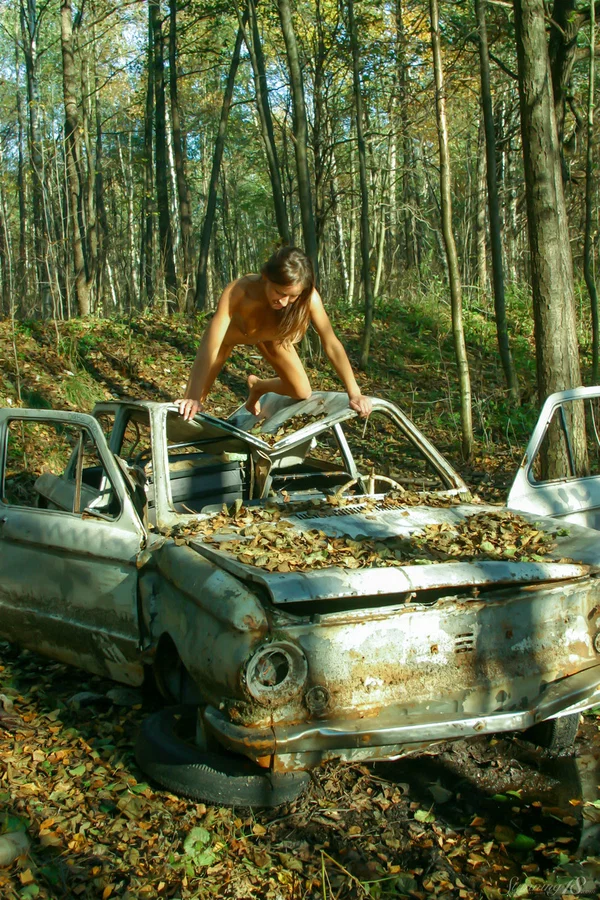 Leggy teen girl poses naked in the woods atop a wrecked vehicle  - Outdoor, Amateur, Teen, Petite, Beautiful, Tiny Tits, Armpit, Legs, Shaved, Pussy  - Photo 4