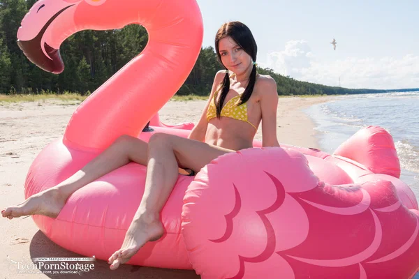 Cute teen Velvet finger fucks on an an inflatable craft in pigtails  - Beach, Pussy, Tiny Tits, Pigtails, Bikini, Outdoor, Spreading, Beautiful, Nipples, Teen  - Photo 1