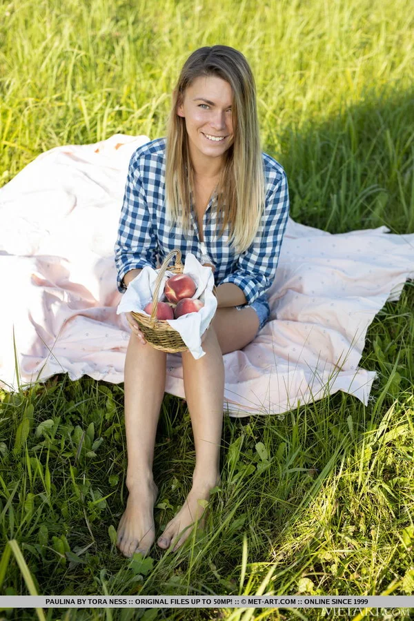 Nice teen Paulina gets completely naked on a blanket in a field  - Outdoor, Spreading, Pussy, Ass, Asshole, Teen, Shaved, Legs, Tiny Tits, Close Up  - Photo 1