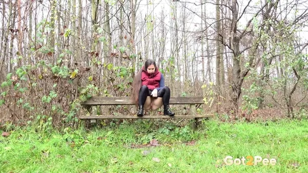 Lara Fox pulls down her pants to pee on a bench beside a path in the woods  - Pissing, Outdoor, Beautiful, Skinny, Pussy, Czech, Spreading, Brunette, Babe, Close Up  - Photo 4