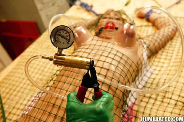 Teen Brooke Adams was drilled by strange BDSM toys in a hot clip  - Bondage, Teen, Dildo, Pussy, Close Up, BDSM, Shaved, Cute  - Photo 6