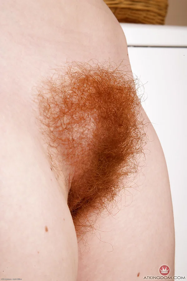 Over 30 wife Ana Molly showing off hairy armpits and vagina close up  - Redhead, Hairy, Close Up, Panties, Ass, Spreading, Nipples, Shorts, Tiny Tits, Pussy  - Photo 12