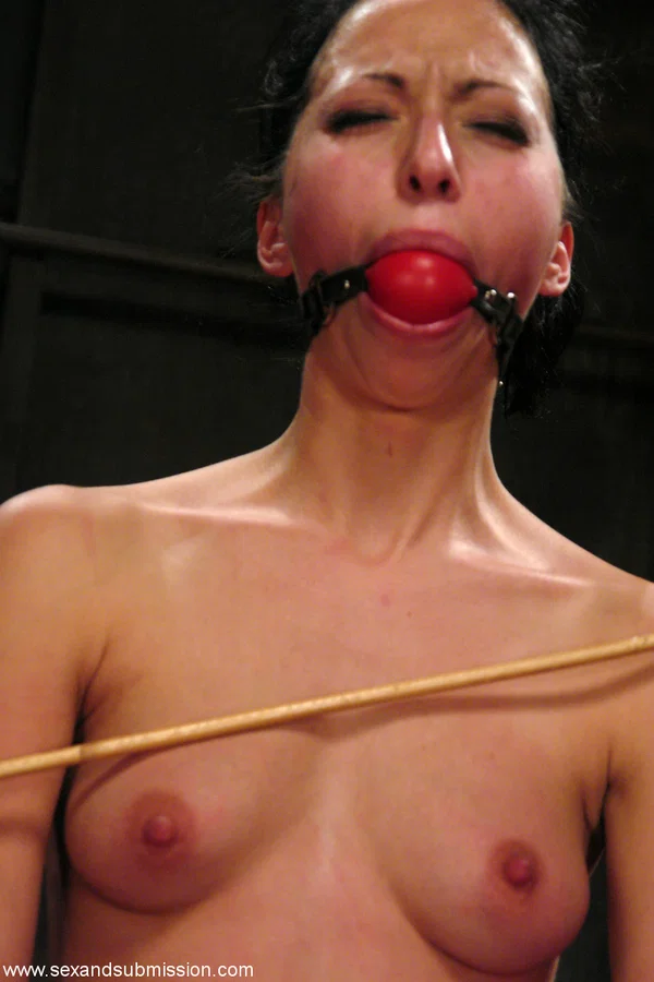 Sex And Submission starring Brandon Iron, Veronica Jett Naked XXX  - MILF, Bondage, Petite, BDSM, Ass, Natural Tits, Tiny Tits, Blowjob, White, Nipples  - Photo 4