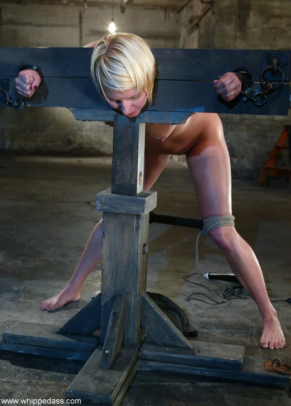 Whipped Ass performed by DragonLily, Vendetta Sex Pictures  - BDSM, Short Hair, Bondage, Glasses, Ass, Dildo, PAWG, Lesbian, Feet, White  - Photo 10