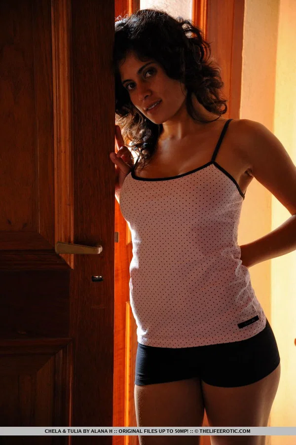 Latina females begin lesbian relations with a touching of tongues  - Lesbian, Latina, Brunette, Hairy, Ass, Panties, Kissing, Close Up, Big Tits, Nipples  - Photo 3