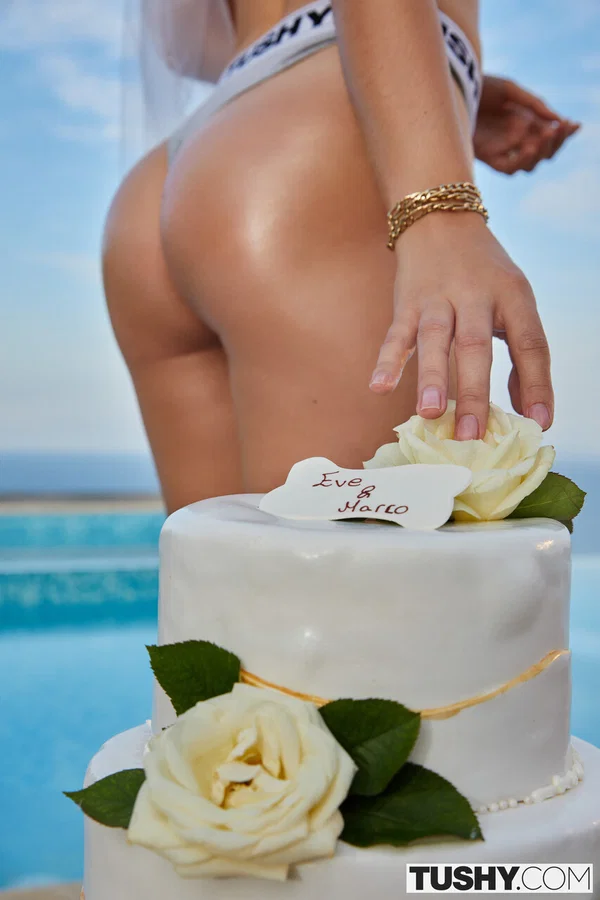 Tushy starring Christian Clay, Eve Sweet Hot Pics  - Wedding, Anal, Party, Pornstar, Brunette, Spreading, Pussy  - Photo 10