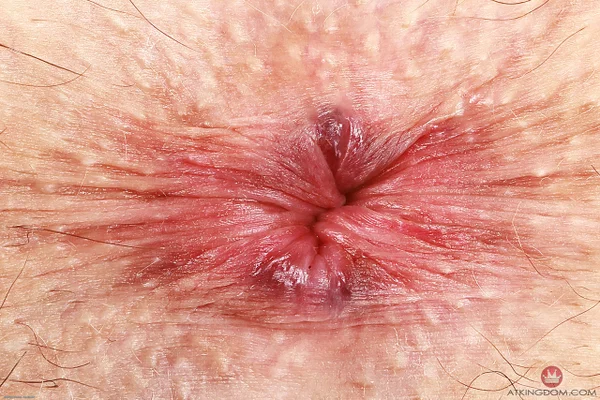 Tattooed amateur Thalia Rhea spreads her pussy lips after showing her butt  - Asshole, Petite, Amateur, Feet, Ass, Spreading, Brunette, Close Up, Panties, Undressing  - Photo 21