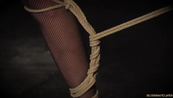 Brunette girl Alexi Star gives a BJ after being tied up with rope in a dungeon  - Bondage, BDSM, Brunette, Spreading, Non Nude  - Photo 5