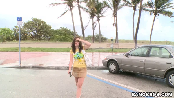 Dirty teen Skarlit Knight shows her small tits and rides a cock in a van  - Hardcore, Reality, Petite, Brunette, Outdoor, Handjob, Blowjob, Cowgirl, Glasses, Non Nude  - Photo 3