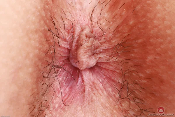 ATK Galleria performed by Amber Summer Nude Porn Pics  - Latina, Amateur, Ass, Petite, Close Up, Big Clit, Teen, Anal Gape, Clothed, Sexy  - Photo 21