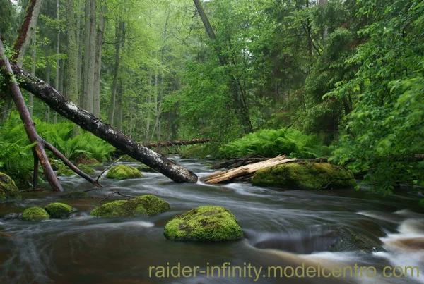 Ertr Name Raider Infinity  - Amateur  - Photo 12
