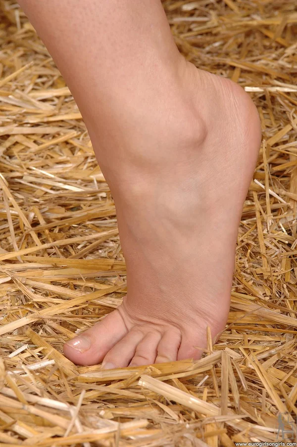 Blonde farmers Jasmin & Linda Shane worship each other's feet in the barn  - Farm, Feet, Lesbian, Ass, Big Clit, Solo, Close Up, Kissing, Legs, PAWG  - Photo 2
