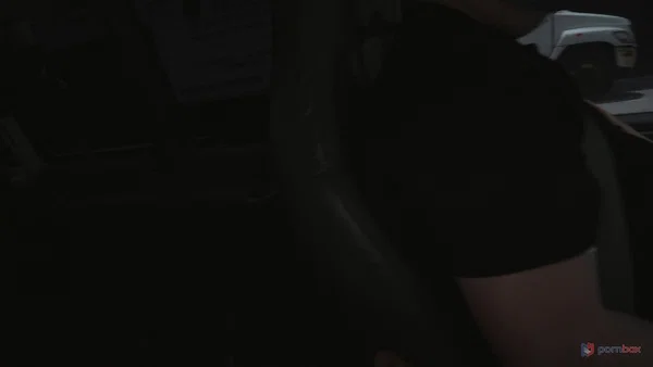 Blonde with big tits Sydney Paige has hardcore sex with a stranger in his car  - MILF, Hardcore, Reality, Sexy, Handjob, Anal, Stockings, Ass, Clothed, Big Tits  - Photo 11